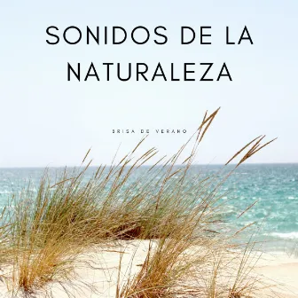 Sonidos De La Naturaleza: Brisa De Verano by Ruidos de la Selva