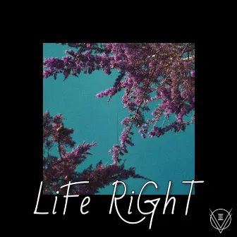 Life Right by 5oh8