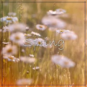 Spring by Mr. Calazans