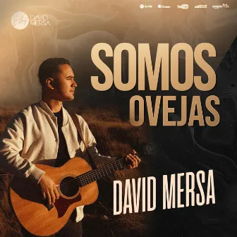 Somos ovejas by David Mersa