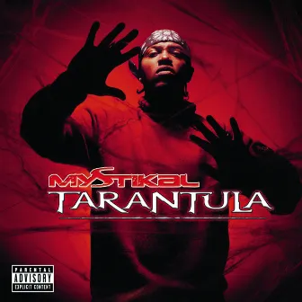 Tarantula by Mystikal