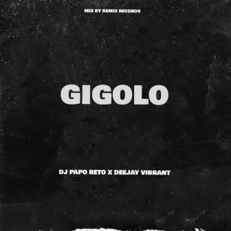 Gigolo (Remix) by Deejay Vibrant