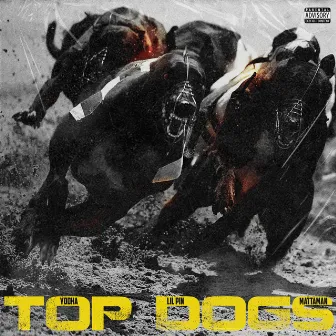 Top Dogs by Yodha