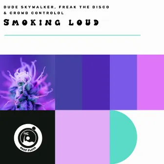 Smoking Loud by Freak The Disco