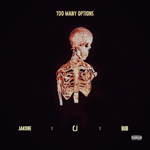 Too Many Options (instrumental)