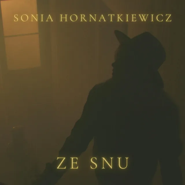 Ze Snu