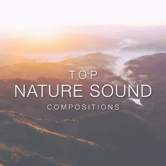 Top Nature Sound Compositions by Underwater Sounds Specialists