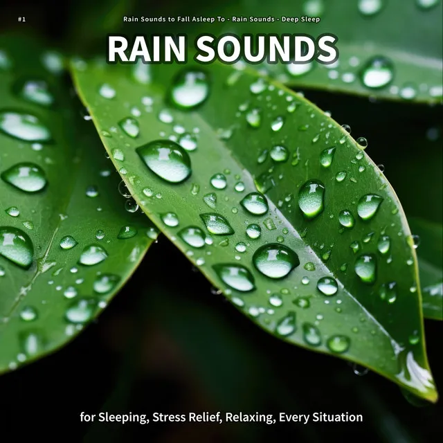 Ambient Rain Sounds for Meditation