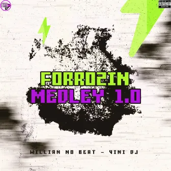 Forrozin Medley 1.0 by Vini DJ