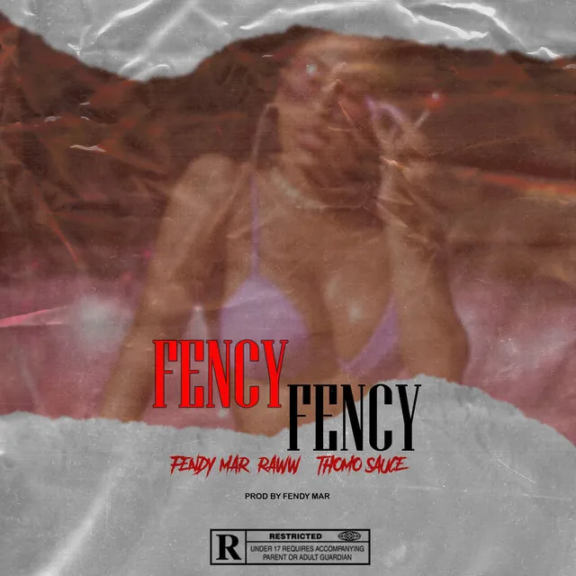 Fency Fency