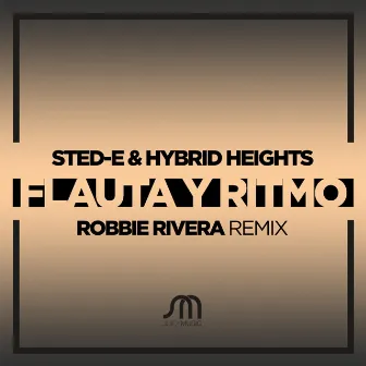 Flauta Y Ritmo by Sted-E & Hybrid Heights