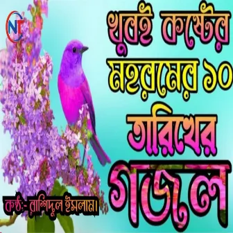 Moha Romer 10 Tarikhe by Rashedul Islam