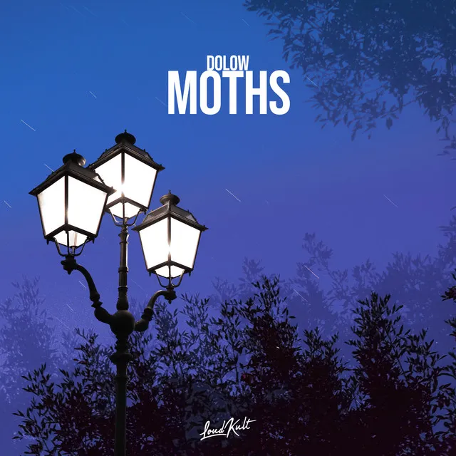 Moths