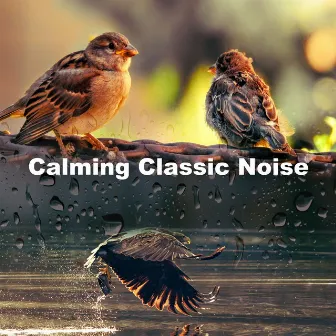 Calming Classic Noise by Spa Nature