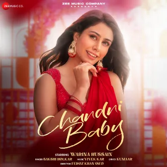 Chandni Baby by Vivek Kar