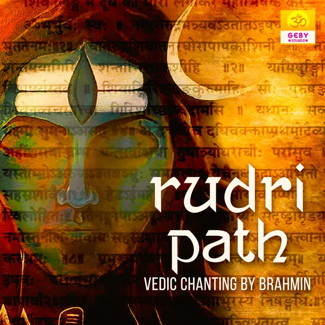 Rudri Path Vedic Chanting By Bhrahmin