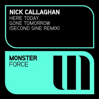 Here Today, Gone Tomorrow (Remixed) by Nick Callaghan