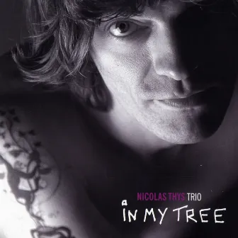 In My Tree by Nicolas Thys