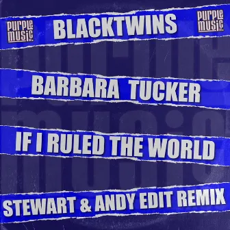 If I Ruled the World (Stewart & Andy Edit Remix) by Barbara Tucker