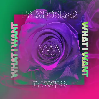 What I Want (Radio Edit) by Freshcobar