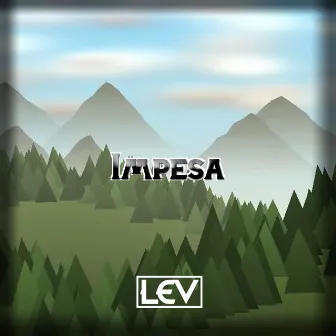 Impesa by LEV