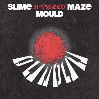 Slime Mould Maze EP by A-Tweed