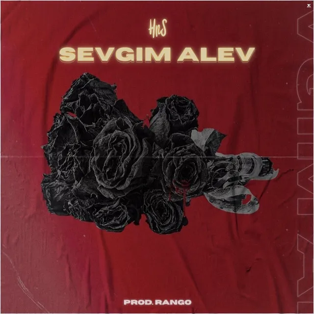 Sevgim Alev