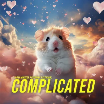 Complicated by Hyper Hamster