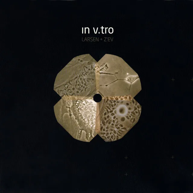 In V.Tro (Live) (III)