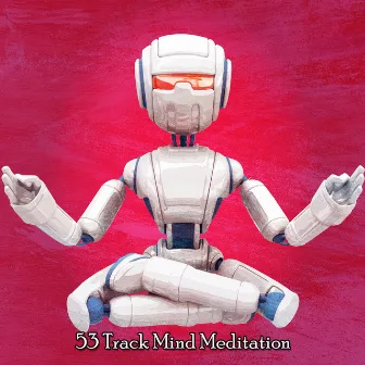 53 Track Mind Meditation by Zen Mechanics