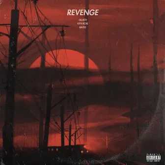 Revenge by raizo