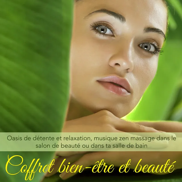 Coffret bien-être et beauté – Oasis de détente et relaxation, musique zen massage dans le salon de beauté ou dans ta salle de bain