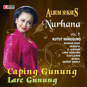 Sukses Nurhana, Vol. 1 by Nurhana