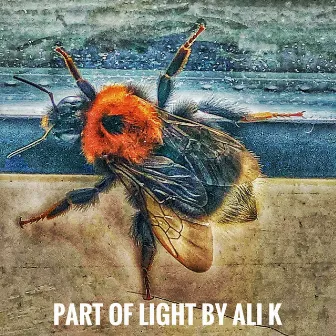 Part of Light by Ali K