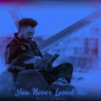 You Never Loved Me by Waris Sekhon