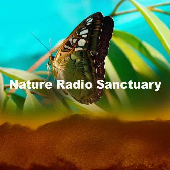 Nature Radio Sanctuary by Portrait of Nature