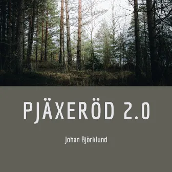 Pjäxeröd 2.0 by Johan Björklund