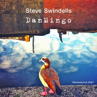 Danmingo (Remastered) by Steve Swindells