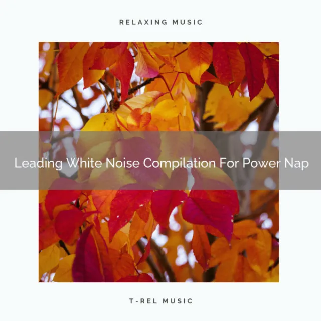 Leading White Noise Compilation For Power Nap