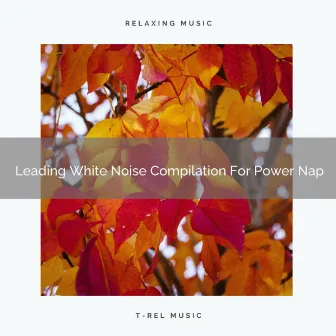 Leading White Noise Compilation For Power Nap by Baby White Noise / Baby Rain Sleep Sounds