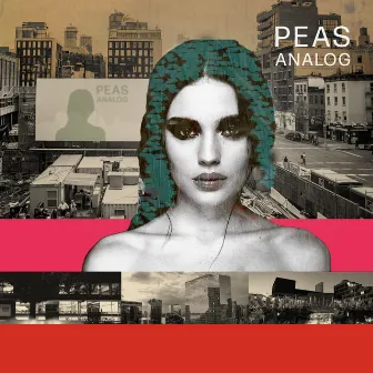 Analog by Peas