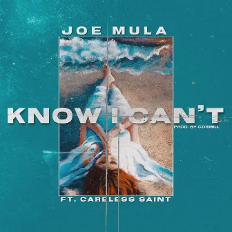 Know I Can't by Joe Mula