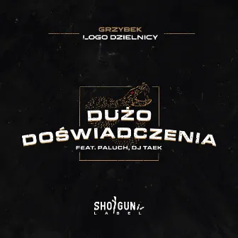 Dużo doświadczenia by Grzybek LD