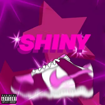 Shiny by ZK.wav