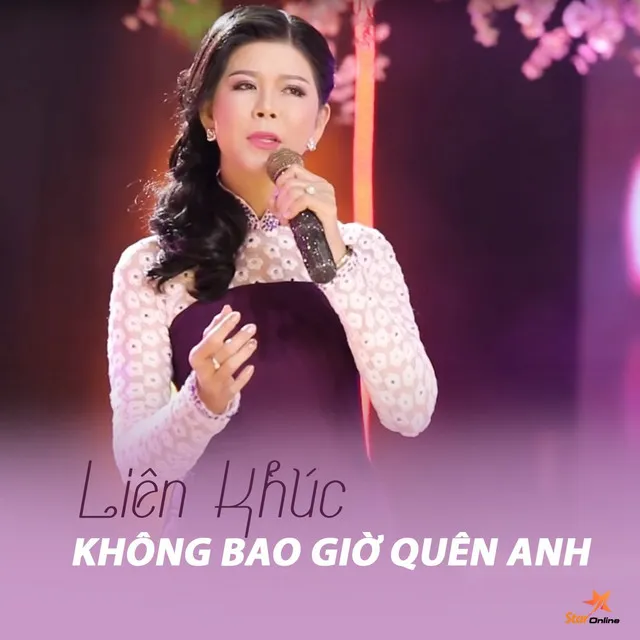 Liên Khúc Không Bao Giờ Quên Anh