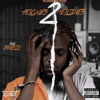 Felonies 2 Melodies by 386breezy