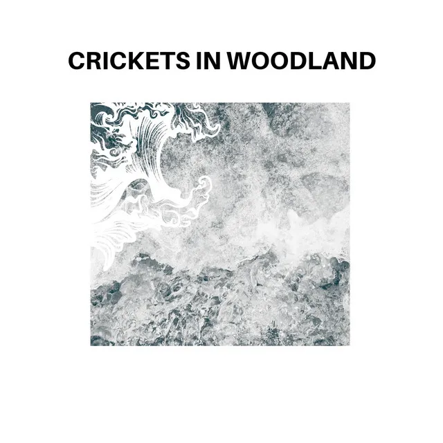 Crickets in Woodland