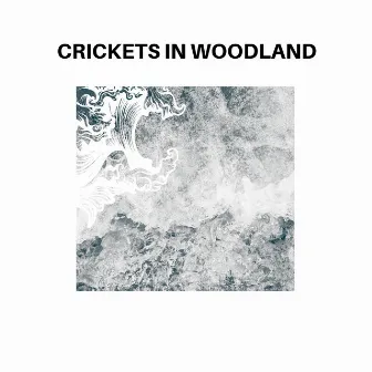 Crickets in Woodland by Garden of Eden Sound Library