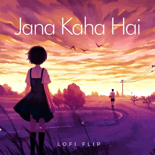 Jana Kaha Hai - Lofi Flip