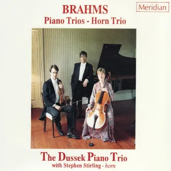 Brahms: Piano Trios - Horn Trio by Stephen Stirling